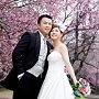 郵輪．櫻花．婚攝 $49,800起