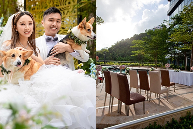 香港海洋公園萬豪酒店 & 香港數碼港艾美酒店_寵物友善戶外婚禮