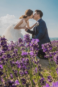 【2024日本旅行結婚全攻略】籌備婚禮須知、婚紗攝影體驗 | 附常見5大Q&A