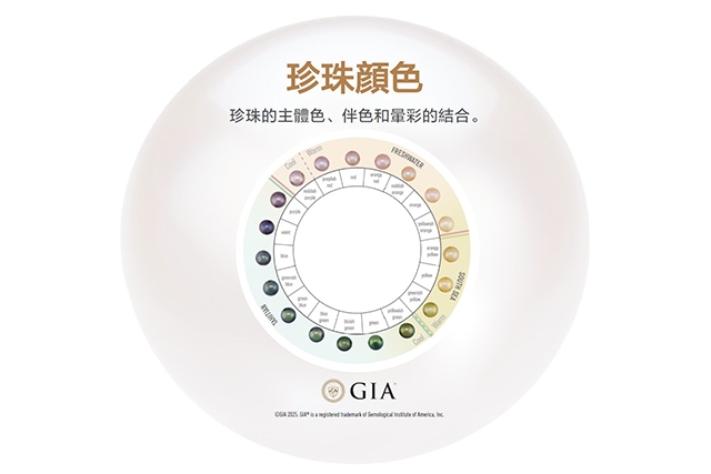 GIA珍珠顏色