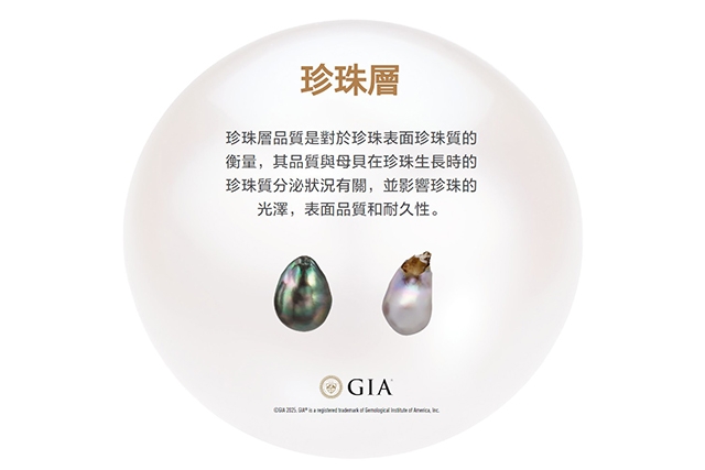 GIA珍珠層