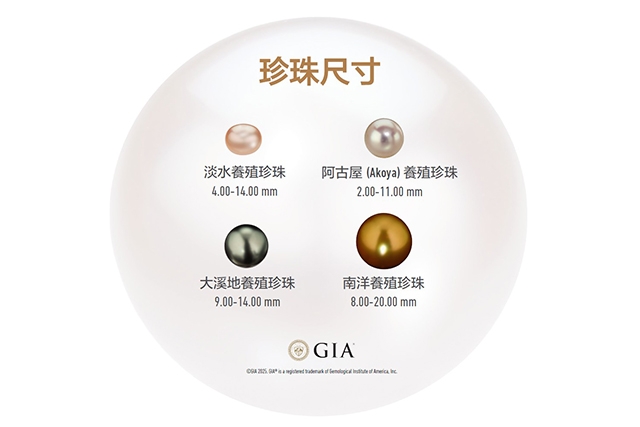 GIA珍珠尺寸