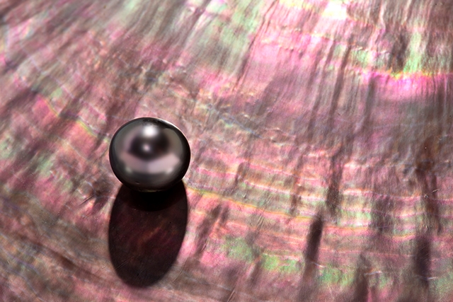 養殖珍珠並非仿製品
