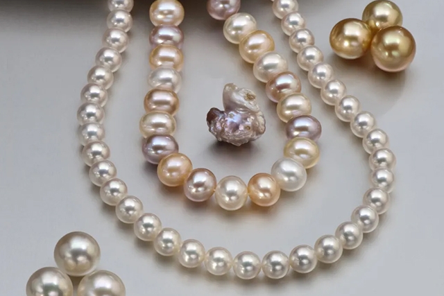天然珍珠 vs 養殖珍珠