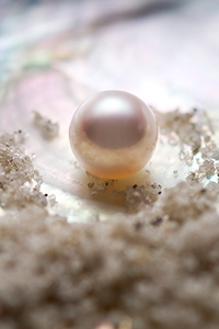 明星也愛戴！你真的會挑珍珠嗎？珍珠也有七個評估標準？教你學會選出完美婚禮珠寶