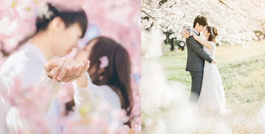 2026櫻花婚攝PRE-WEDDING攻略丨推介10大熱門櫻花婚攝景點！附2026日本/韓國櫻花期預測  (持續更新)