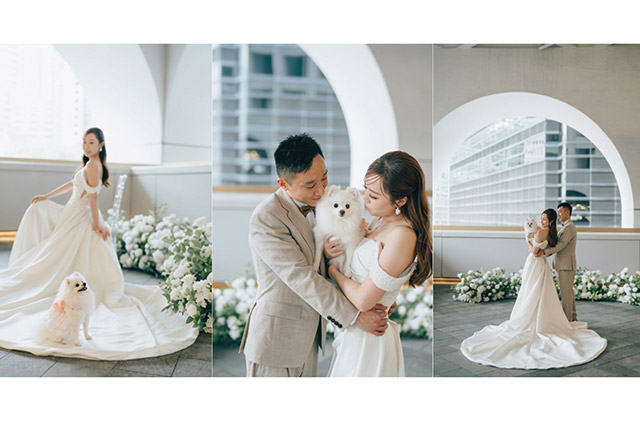 寵物友善婚宴全攻略：3大貼士讓毛孩成為最萌花童