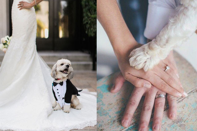 婚攝前要做足準備 Prewedding事前必做清單 美容護膚注意事項 服飾道具物資表 附詳盡時間表 香港婚照攝影 新婚生活易