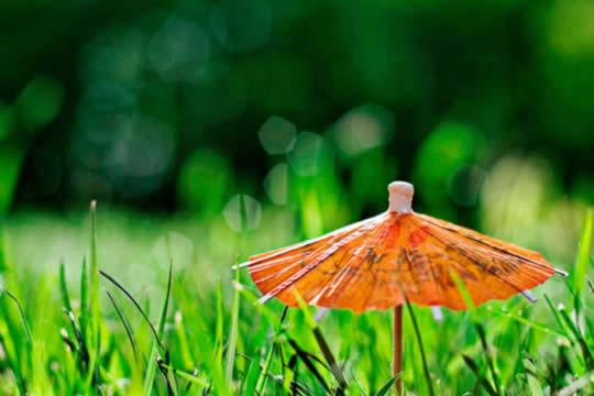 拍婚照前9大準備