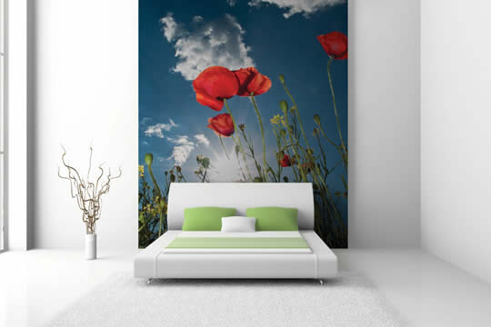 5大風格 建構你想的家