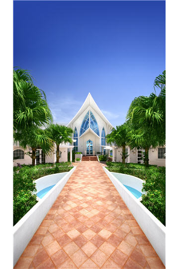 Amazing Wedding海外婚禮