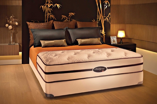 與愛侶共享無中斷甜睡，是否你的夢想？