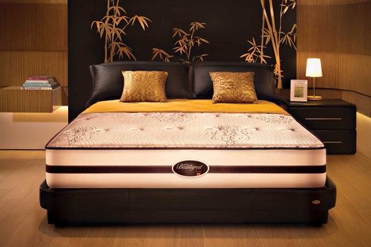 與愛侶共享無中斷甜睡，是否你的夢想？