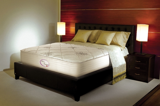 與愛侶共享無中斷甜睡，是否你的夢想？