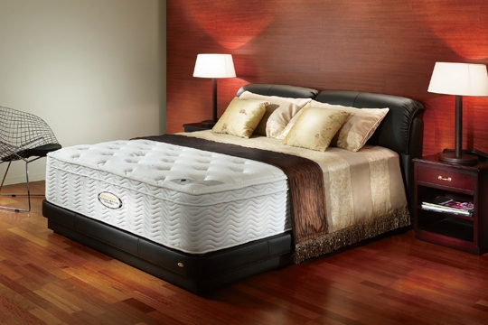 與愛侶共享無中斷甜睡，是否你的夢想？