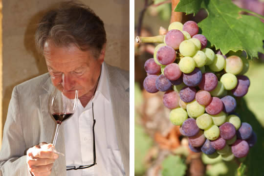 旅遊達人分享 波爾多蜜月之旅