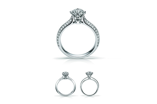 璀璨彰顯完全的愛