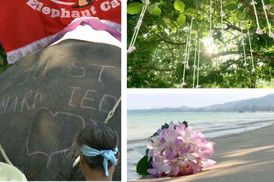 2012海外婚禮新發現 