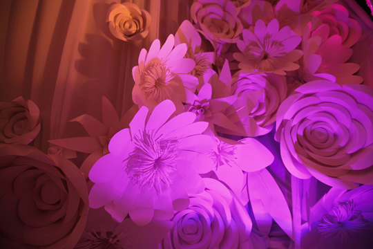 2012冬季流行佈置Q&A