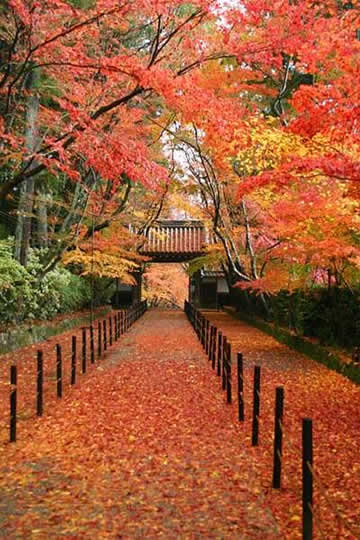 化身和服新娘要知的二三事