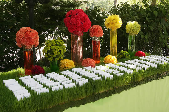 戶外婚禮須知的20件事