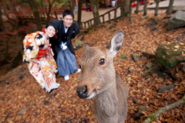 日本十大醉人婚照拍攝地