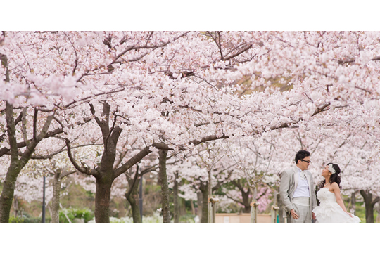 日本十大醉人婚照拍攝地