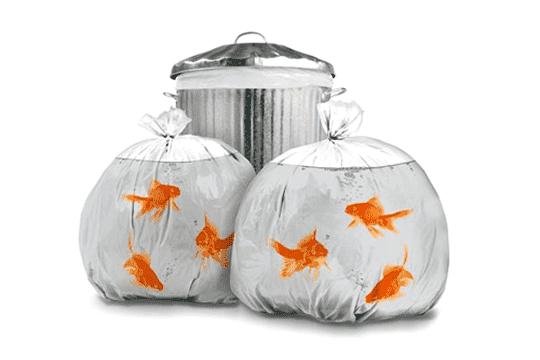 $299以下的搞鬼家品 歡樂滿屋