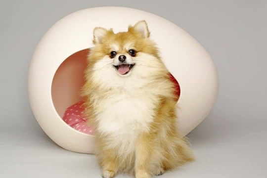 $299以下的搞鬼家品 歡樂滿屋