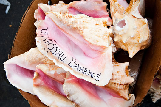 粉紅色的蜜月之旅－巴哈馬