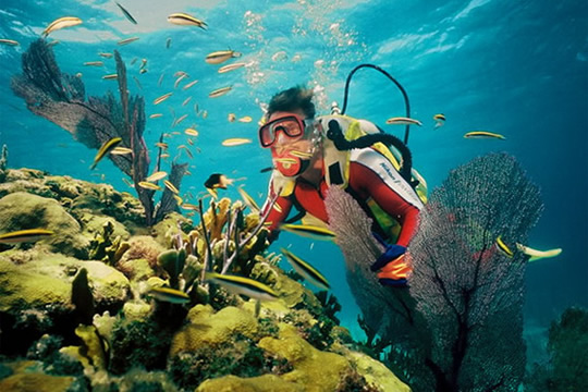 粉紅色的蜜月之旅－巴哈馬