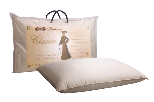 與愛侶共享甜睡  Recharge&trade;注入健康能量