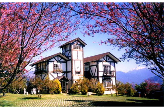 自拍婚照9個小訣竅