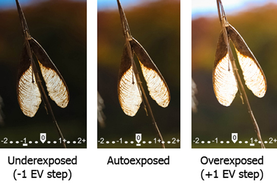 專家教路 自拍婚照速成10式