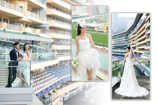 希臘女神 綻放華麗姿采