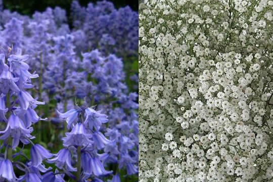 典雅與時尚 花球二選一