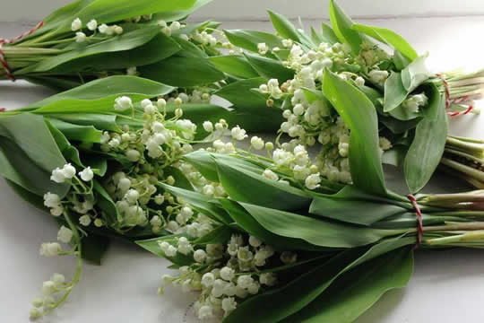 典雅與時尚 花球二選一