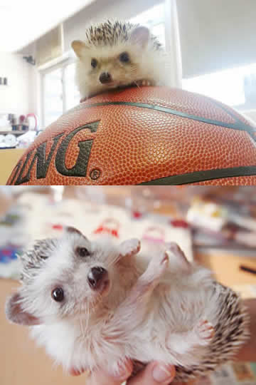 婚禮手作 秘密工房