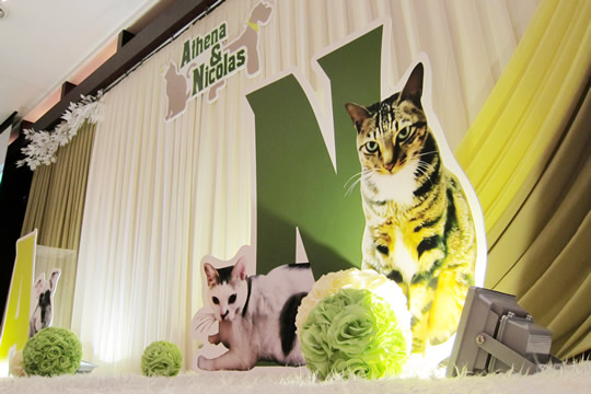 令人一眼驚喜的主題婚禮佈置