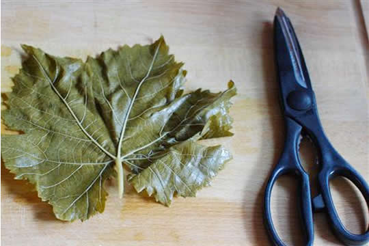 風乾花球 讓回憶觸手可及