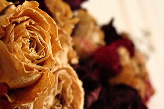 風乾花球 讓回憶觸手可及