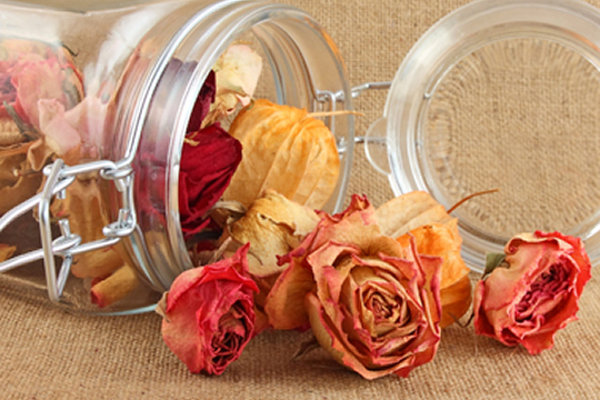 風乾花球 讓回憶觸手可及