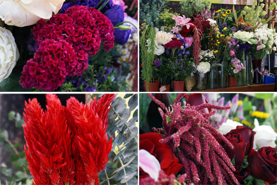 花藝師分享 冬日花球必備元素