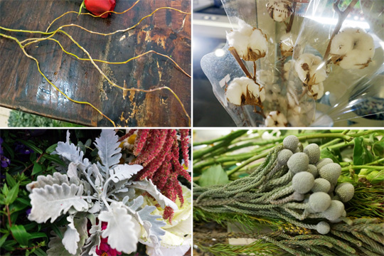 花藝師分享 冬日花球必備元素