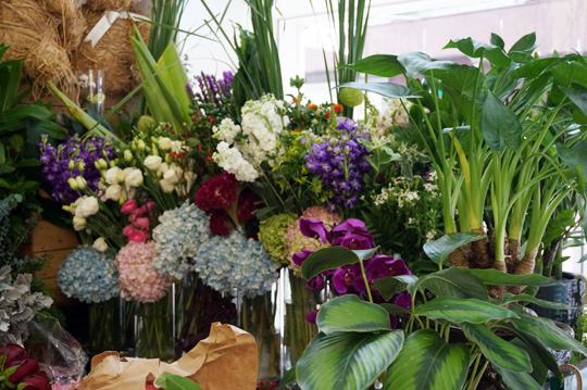 花藝師分享 冬日花球必備元素