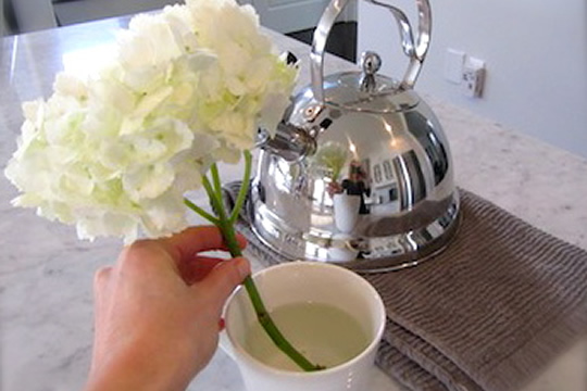 花球起死回生 9 個妙法