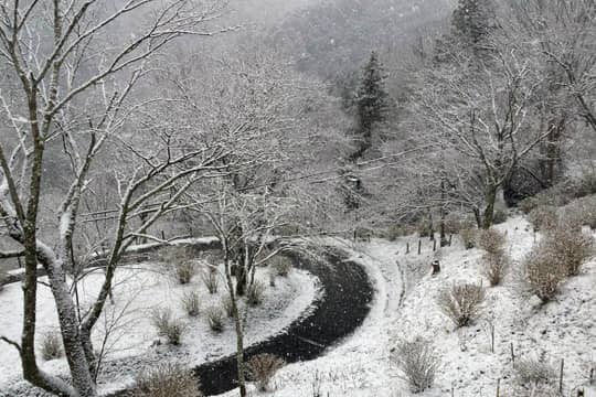 櫻花以外 發掘奈良婚攝新熱點