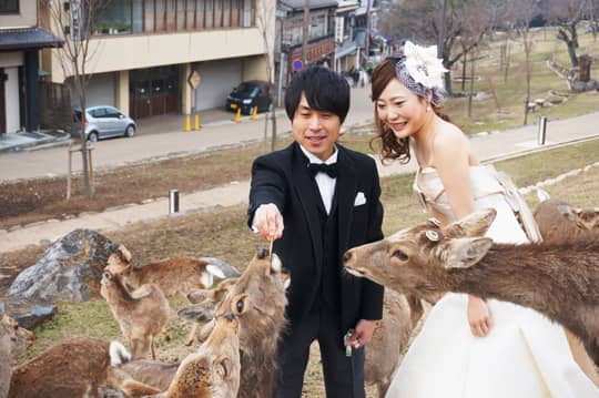 櫻花以外 發掘奈良婚攝新熱點