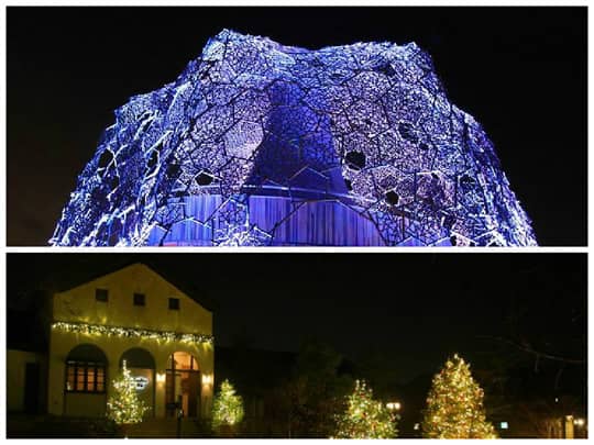 求婚大作戰 9 段精彩實錄