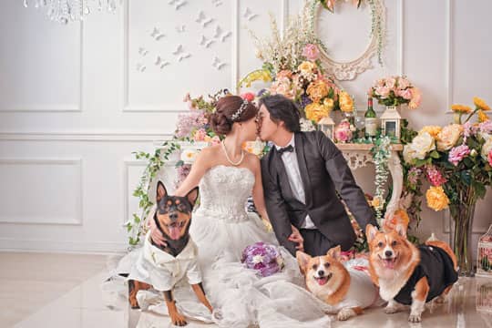 10 間婚攝 Studio 任你揀！